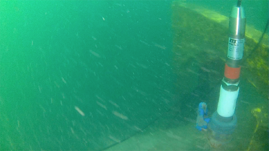 Underwater Installed 2